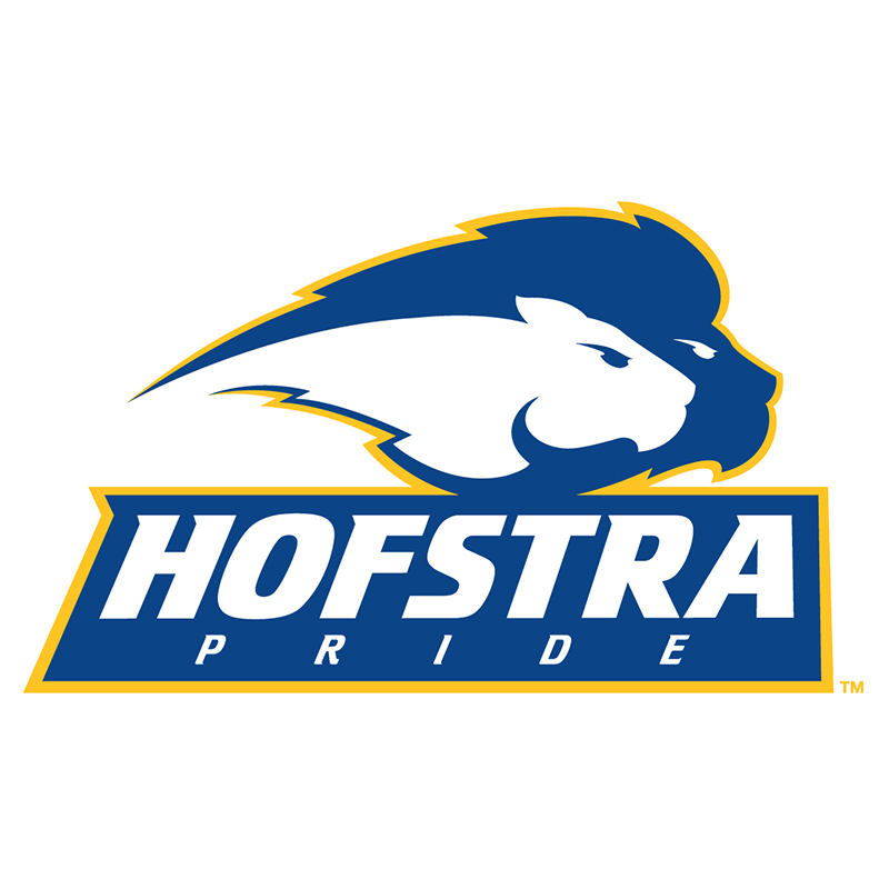 Hofstra Pride iron ons